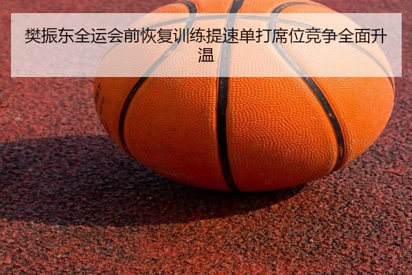 樊振东全运会前恢复训练提速单打席位竞争全面升温